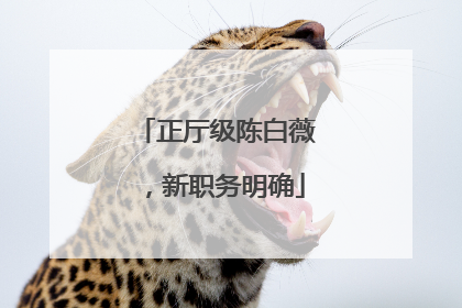 正厅级陈白薇，新职务明确
