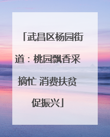 武昌区杨园街道：桃园飘香采摘忙 消费扶贫促振兴