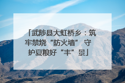 武陟县大虹桥乡：筑牢禁烧“防火墙” 守护夏粮好“丰”景