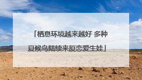 栖息环境越来越好 多种夏候鸟陆续来厦恋爱生娃