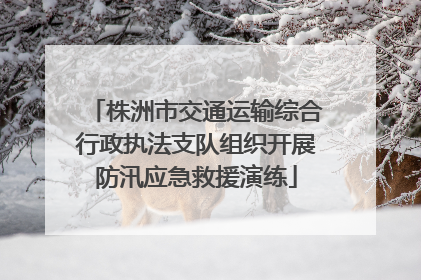株洲市交通运输综合行政执法支队组织开展防汛应急救援演练
