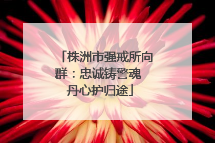 株洲市强戒所向群：忠诚铸警魂 丹心护归途