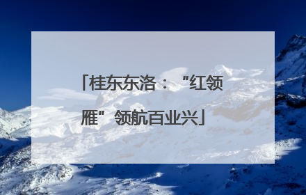 桂东东洛：“红领雁”领航百业兴