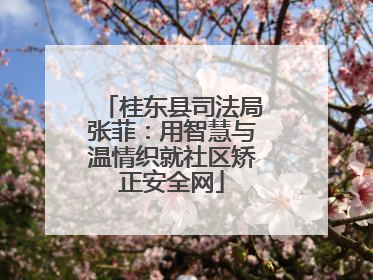 桂东县司法局张菲：用智慧与温情织就社区矫正安全网
