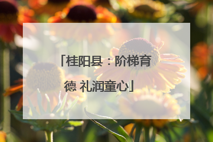 桂阳县：阶梯育德 礼润童心