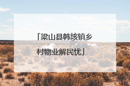 梁山县韩垓镇乡村物业解民忧