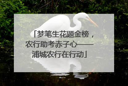 梦笔生花题金榜，农行助考赤子心——浦城农行在行动