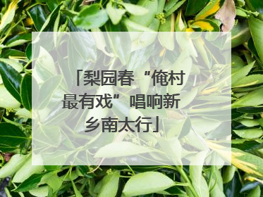 梨园春“俺村最有戏”唱响新乡南太行