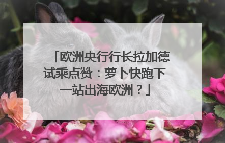 欧洲央行行长拉加德试乘点赞：萝卜快跑下一站出海欧洲？