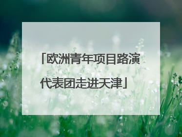 欧洲青年项目路演代表团走进天津