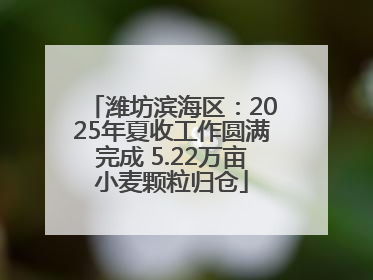 潍坊滨海区：2025年夏收工作圆满完成 5.22万亩小麦颗粒归仓