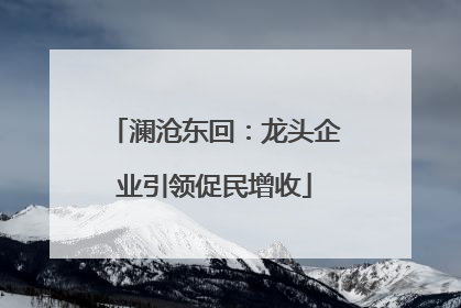 澜沧东回：龙头企业引领促民增收