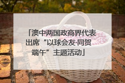 澳中两国政商界代表出席“以球会友·同贺端午”主题活动