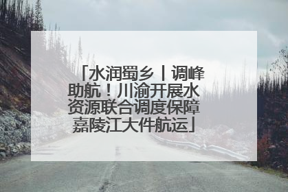 水润蜀乡丨调峰助航！川渝开展水资源联合调度保障嘉陵江大件航运