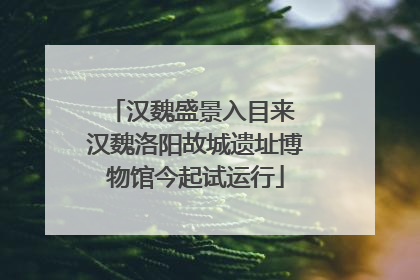 汉魏盛景入目来 汉魏洛阳故城遗址博物馆今起试运行