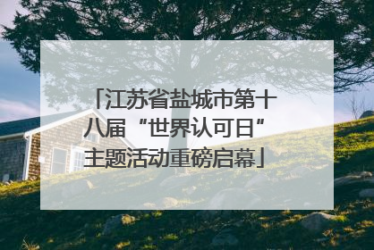 江苏省盐城市第十八届“世界认可日”主题活动重磅启幕