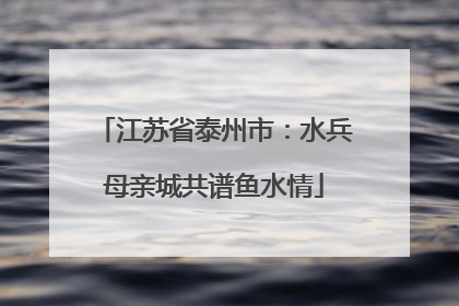 江苏省泰州市：水兵母亲城共谱鱼水情