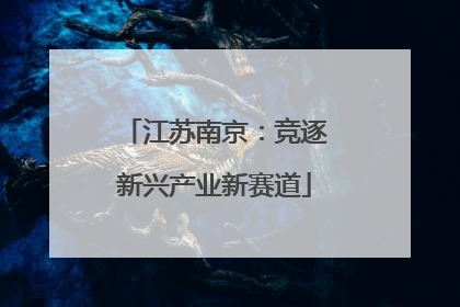 江苏南京：竞逐新兴产业新赛道
