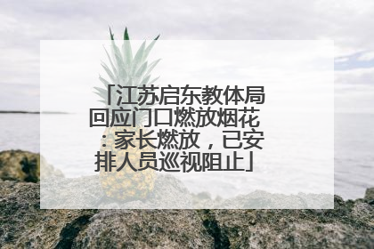 江苏启东教体局回应门口燃放烟花：家长燃放，已安排人员巡视阻止