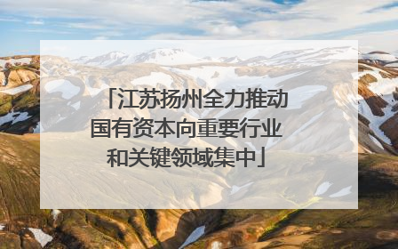 江苏扬州全力推动国有资本向重要行业和关键领域集中