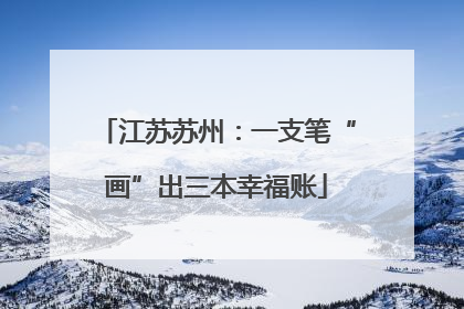 江苏苏州：一支笔“画”出三本幸福账