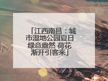 江西南昌：城市湿地公园夏日绿意盎然 荷花渐开引客来