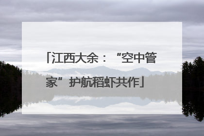 江西大余：“空中管家”护航稻虾共作