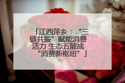 江西萍乡：“三链共振”赋能消费活力 生态五陂成“消费新枢纽”