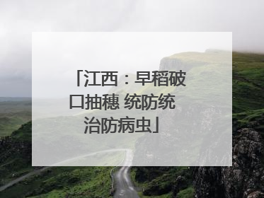 江西：早稻破口抽穗 统防统治防病虫