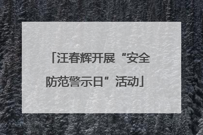 汪春辉开展“安全防范警示日”活动