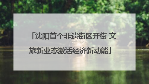 沈阳首个非遗街区开街 文旅新业态激活经济新动能