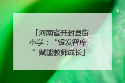 河南省开封县街小学：“银发智库”赋能教师成长
