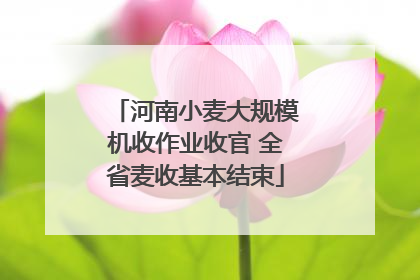 河南小麦大规模机收作业收官 全省麦收基本结束
