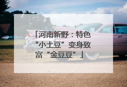 河南新野：特色“小土豆”变身致富“金豆豆”