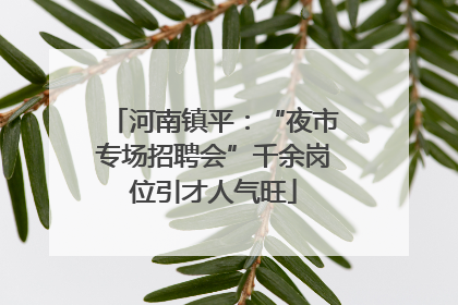 河南镇平：“夜市专场招聘会”千余岗位引才人气旺