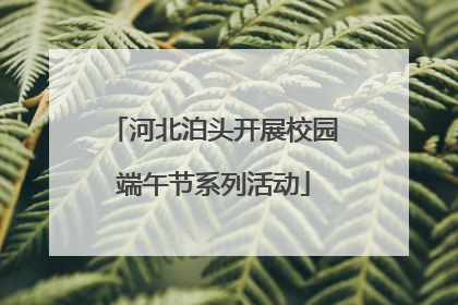 河北泊头开展校园端午节系列活动