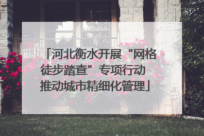河北衡水开展“网格徒步踏查”专项行动 推动城市精细化管理