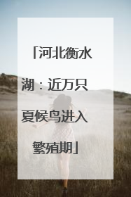 河北衡水湖：近万只夏候鸟进入繁殖期