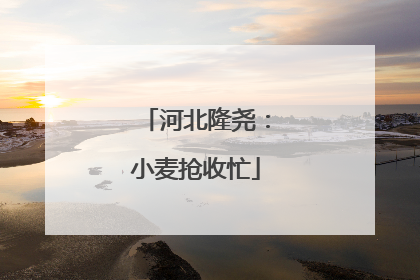 河北隆尧：小麦抢收忙