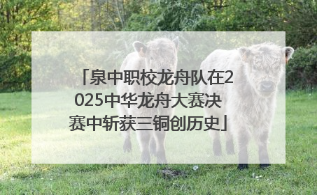 泉中职校龙舟队在2025中华龙舟大赛决赛中斩获三铜创历史