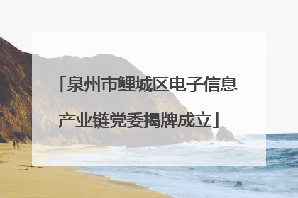 泉州市鲤城区电子信息产业链党委揭牌成立