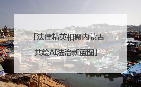 法律精英相聚内蒙古 共绘AI法治新蓝图