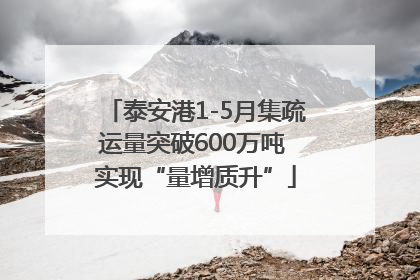 泰安港1-5月集疏运量突破600万吨 实现“量增质升”