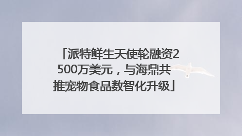 派特鲜生天使轮融资2500万美元，与海鼎共推宠物食品数智化升级