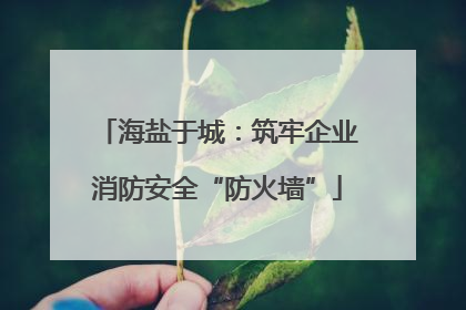 海盐于城：筑牢企业消防安全“防火墙”
