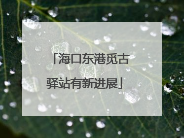 海口东港觅古驿站有新进展