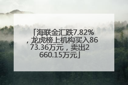 海联金汇跌7.82%，龙虎榜上机构买入8673.36万元，卖出2660.15万元