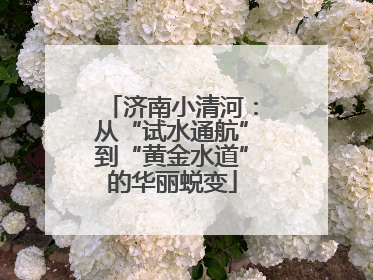 济南小清河：从“试水通航”到“黄金水道”的华丽蜕变