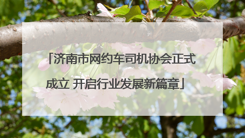 济南市网约车司机协会正式成立 开启行业发展新篇章