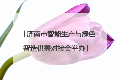 济南市智能生产与绿色智造供需对接会举办